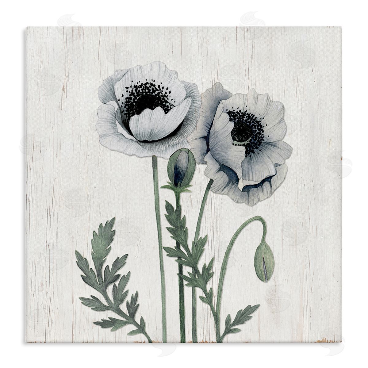 Kourtni Gunn Blooming Poppy Flower Buds Rustic Panel Pattern Stretched Canvas Wall Art Print