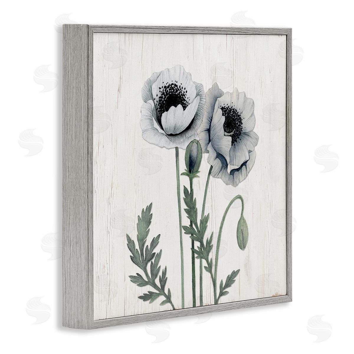 Kourtni Gunn Blooming Poppy Flower Buds Rustic Panel Pattern Gray Framed Glicee Wall Art Print