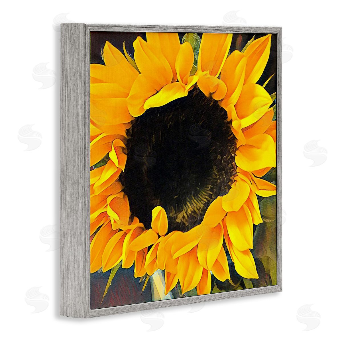 Jessica Manelis Bold Yellow Summertime Sunflower Close Up Blossom Gray Framed Glicee Wall Art Print