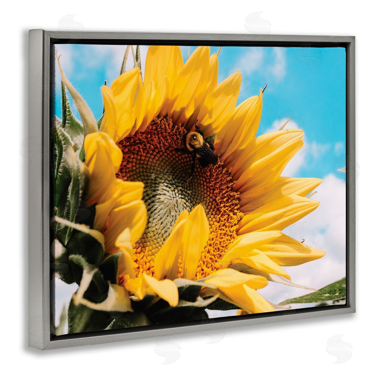 Hey Bre! Creative Studio Summer Sunflower Blossom Pollinating Honey Bee Photography Gray Floating Frame Canvas Wall Art Print