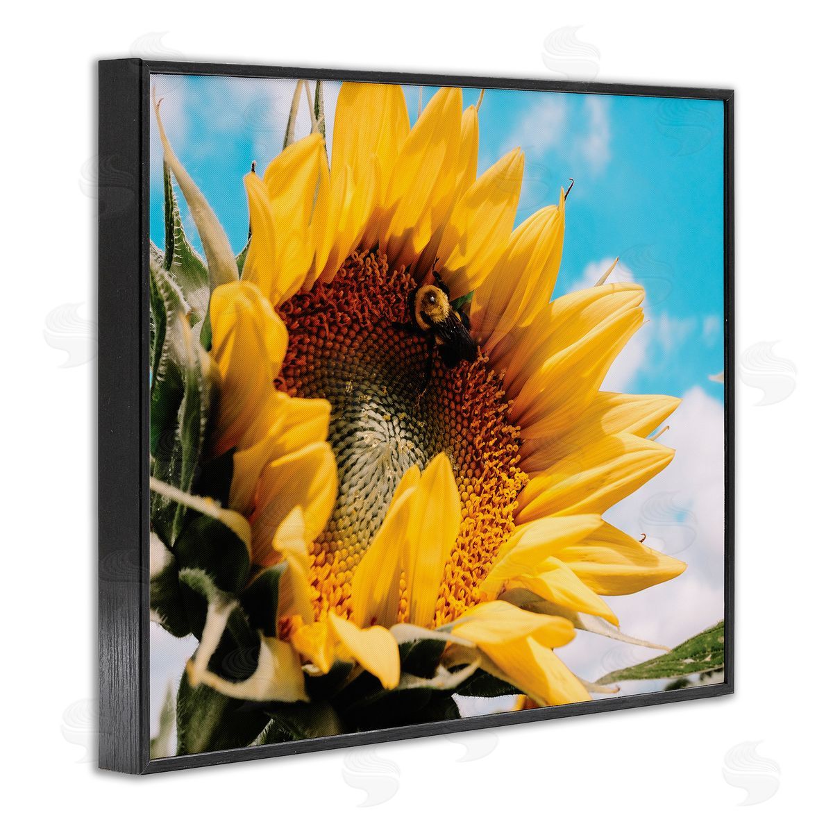 Hey Bre! Creative Studio Summer Sunflower Blossom Pollinating Honey Bee Photography Black Framed Giclee Wall Art Print