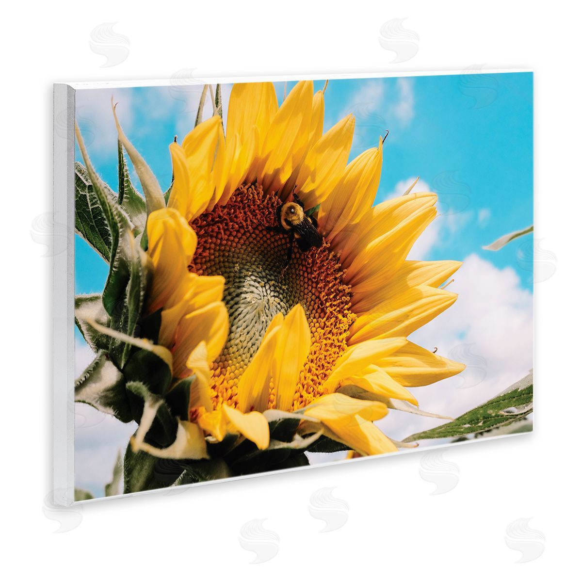 Hey Bre! Creative Studio Summer Sunflower Blossom Pollinating Honey Bee Photography Wall Plaque Art Print