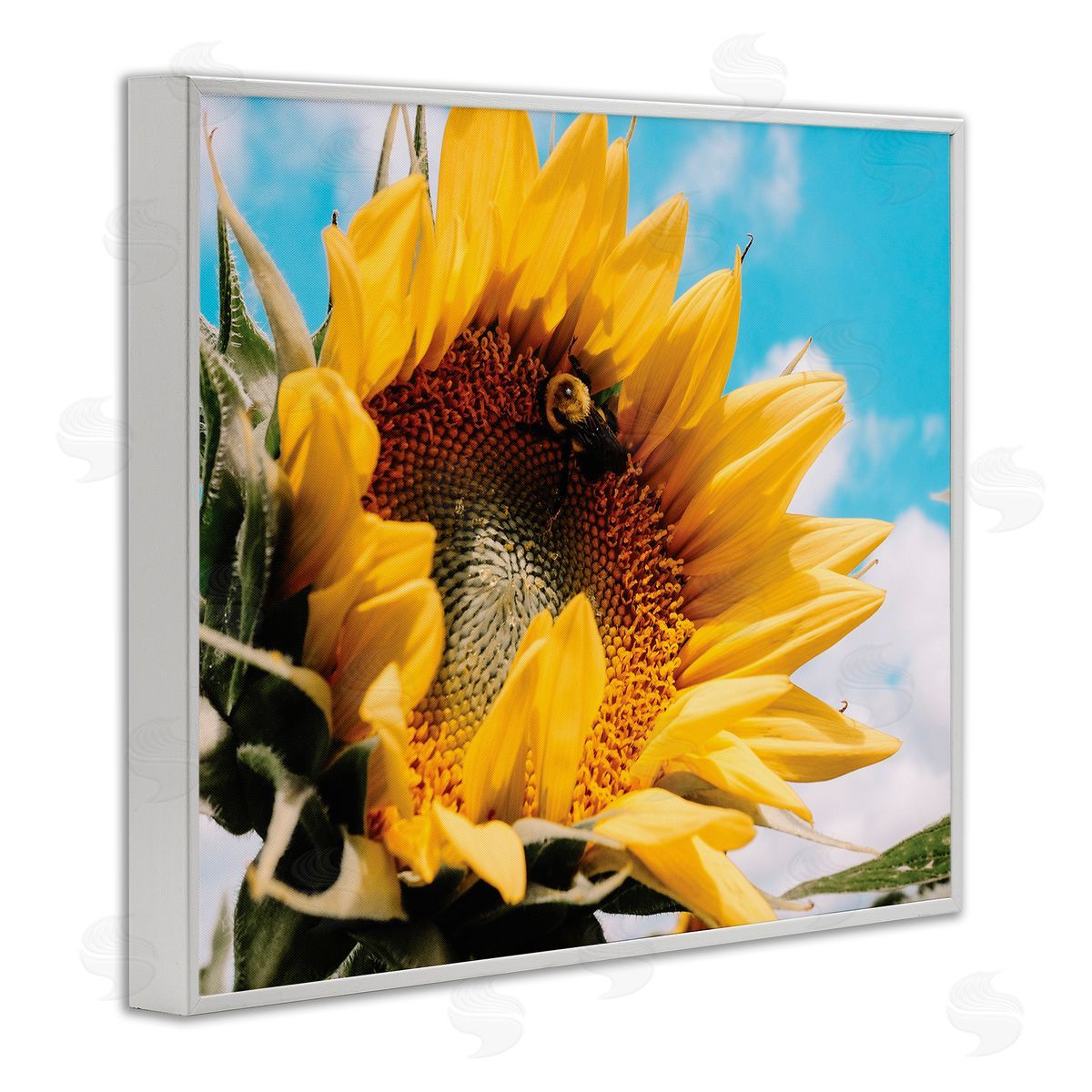 Hey Bre! Creative Studio Summer Sunflower Blossom Pollinating Honey Bee Photography White Framed Giclee Wall Art Print