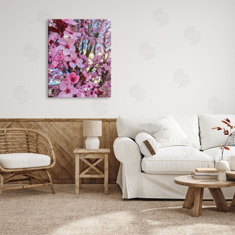 Heidi Bannon Spring Pink Cherry Blossom Flowers Blooming Photography Canvas Wall Art Print in Room