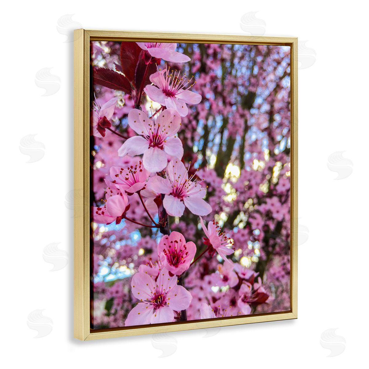 Heidi Bannon Spring Pink Cherry Blossom Flowers Blooming Photography Gold Floating Frame Canvas Wall Art Print