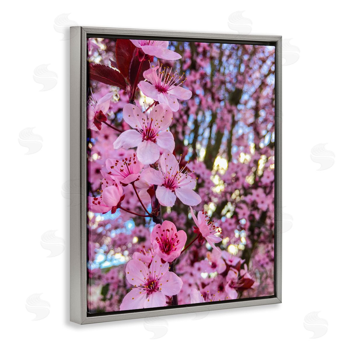 Heidi Bannon Spring Pink Cherry Blossom Flowers Blooming Photography Gray Floating Frame Canvas Wall Art Print