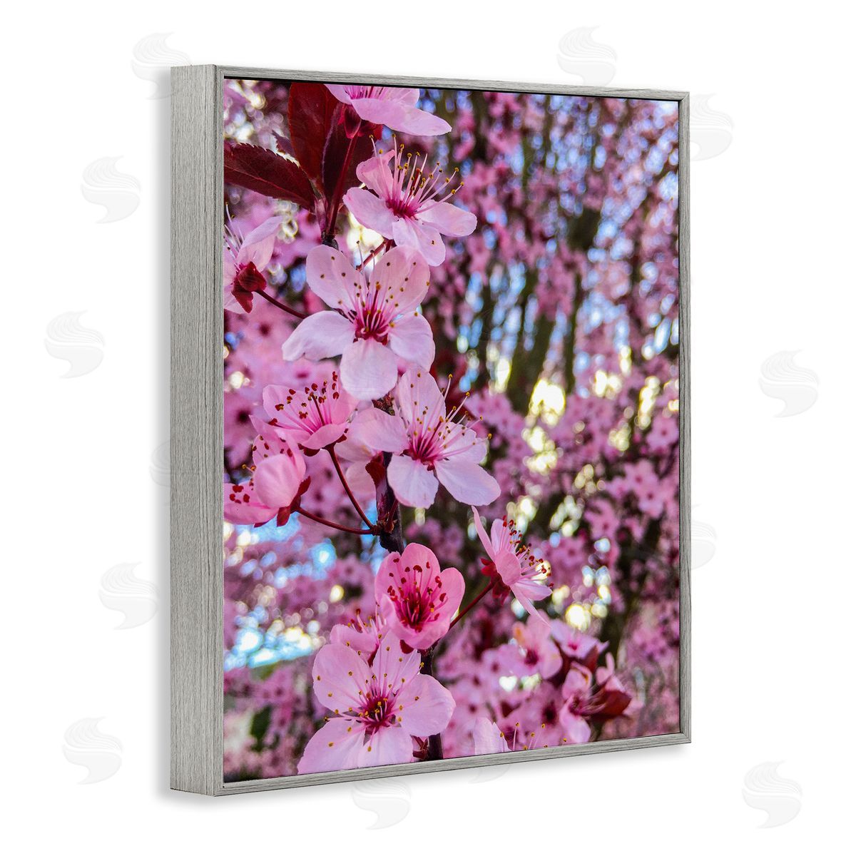 Heidi Bannon Spring Pink Cherry Blossom Flowers Blooming Photography Gray Framed Giclee Wall Art Print