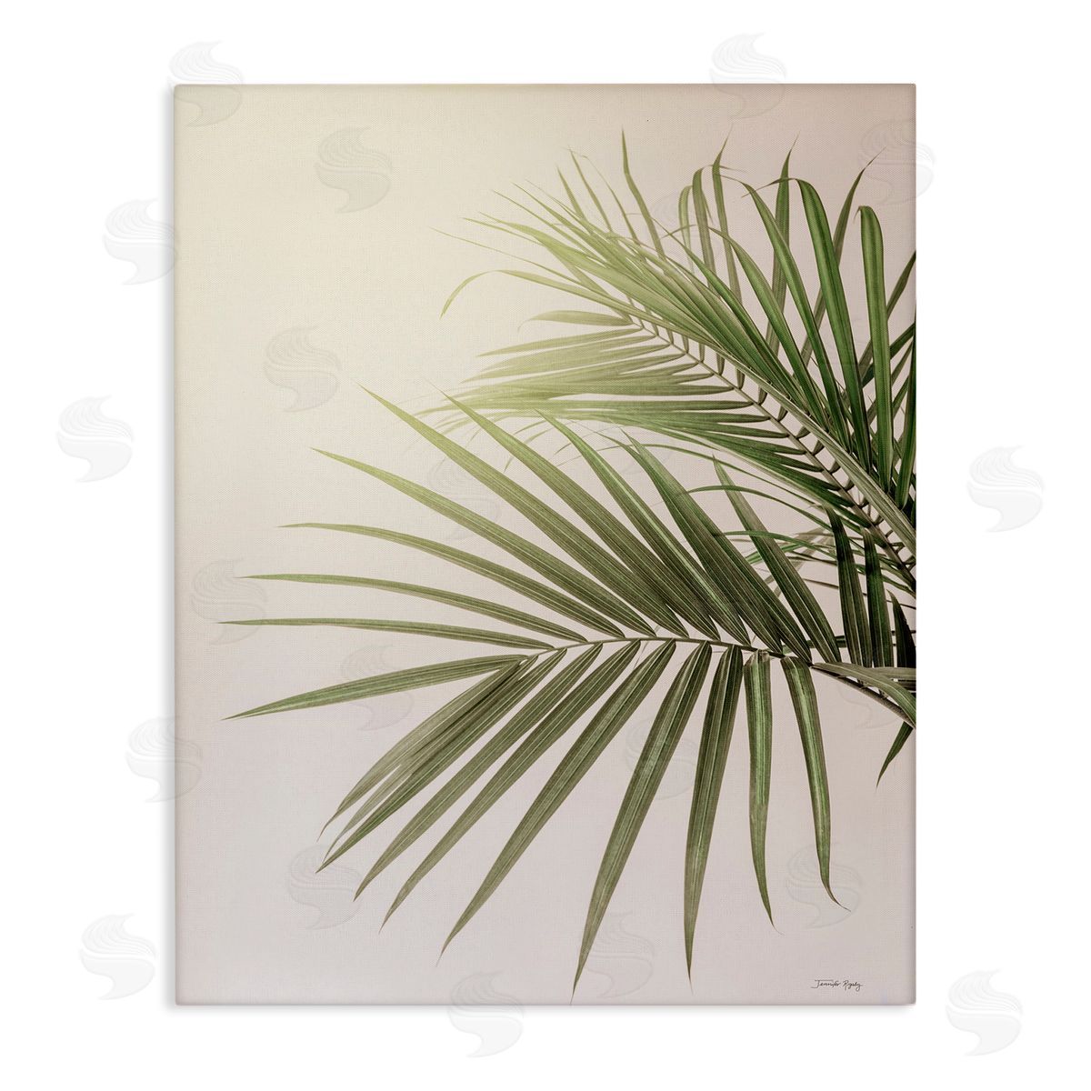 Jennifer Rigsby Minimal Palm Leaves Sunlit Tropical House Plant  Stretched Canvas Wall Art Print