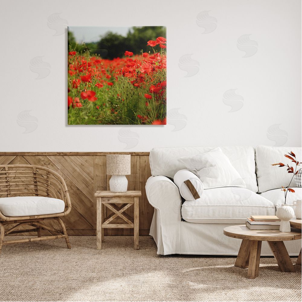 Dan Meneely Brilliant Red Poppy Meadow Scenic Flower Blooms Canvas Wall Art in Room