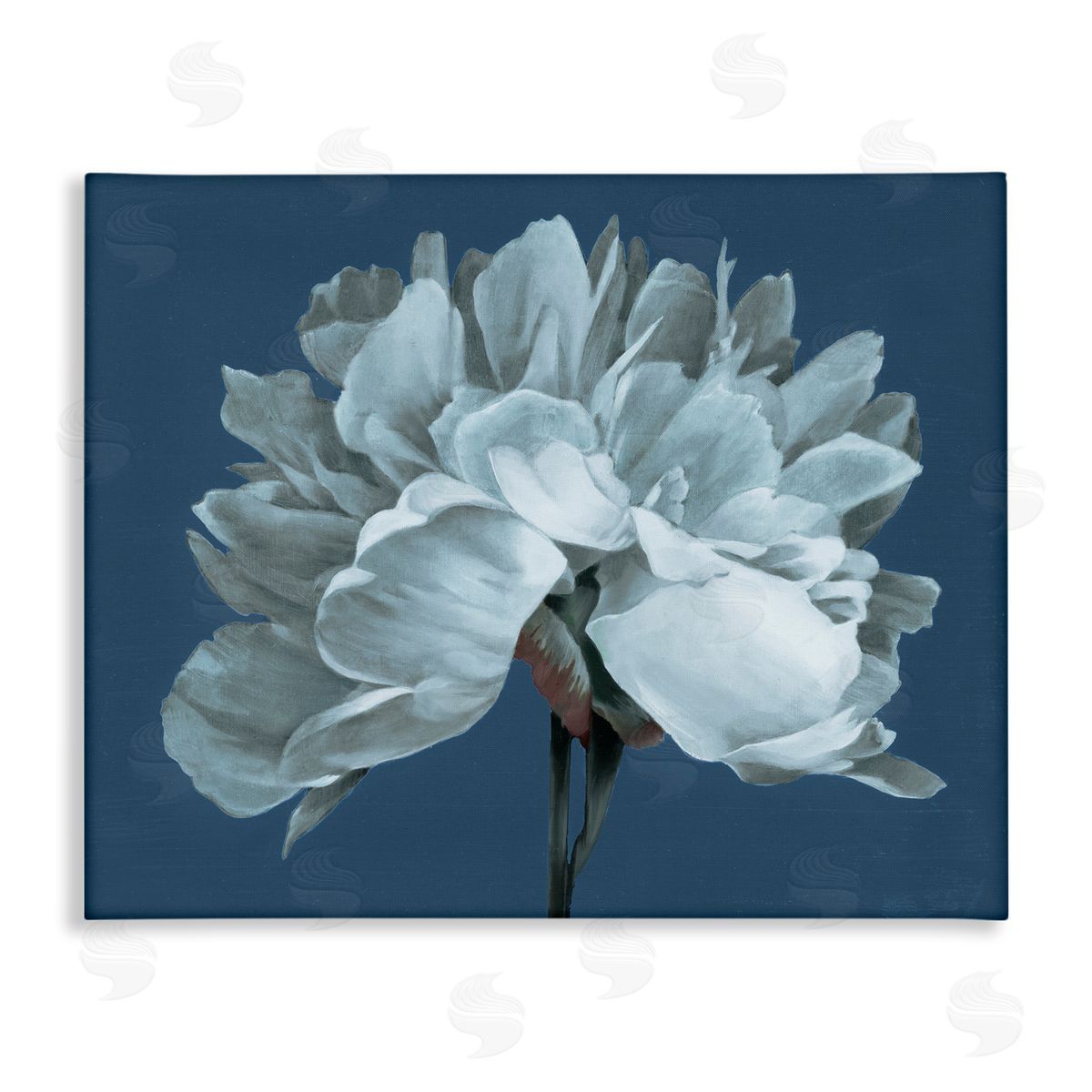 Liz Jardine Contemporary White Bloom Single Flower Sprig Stretched Canvas Wall Art Print