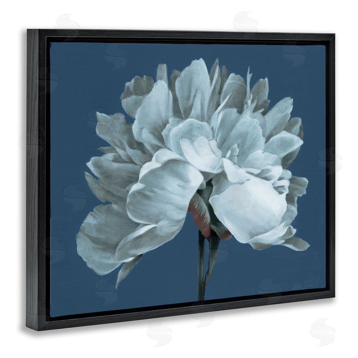Liz Jardine Contemporary White Bloom Single Flower Sprig Black Floating Frame Canvas Wall Art Print