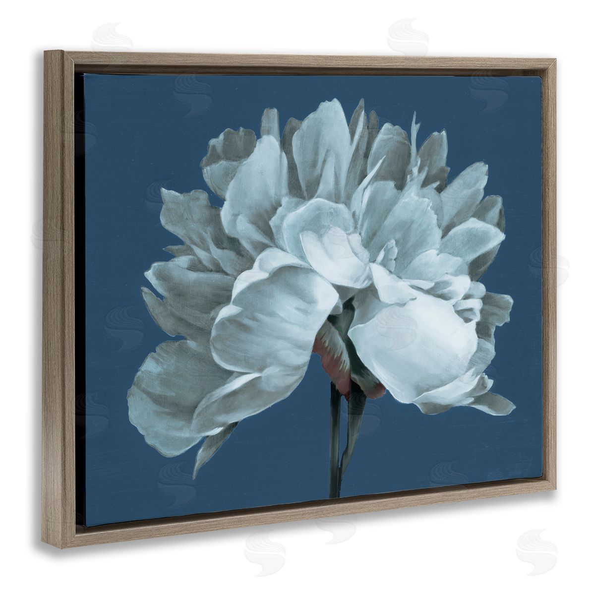 Liz Jardine Contemporary White Bloom Single Flower Sprig Brown Floating Frame Canvas Wall Art Print