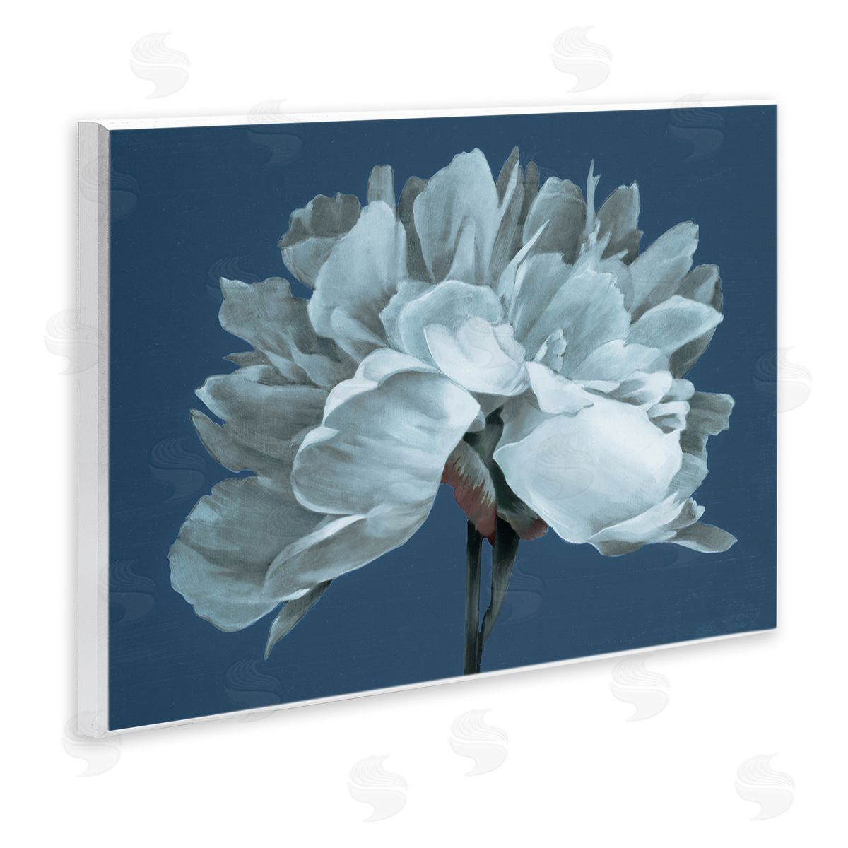 Liz Jardine Contemporary White Bloom Single Flower Sprig Wall Plaque Art Print