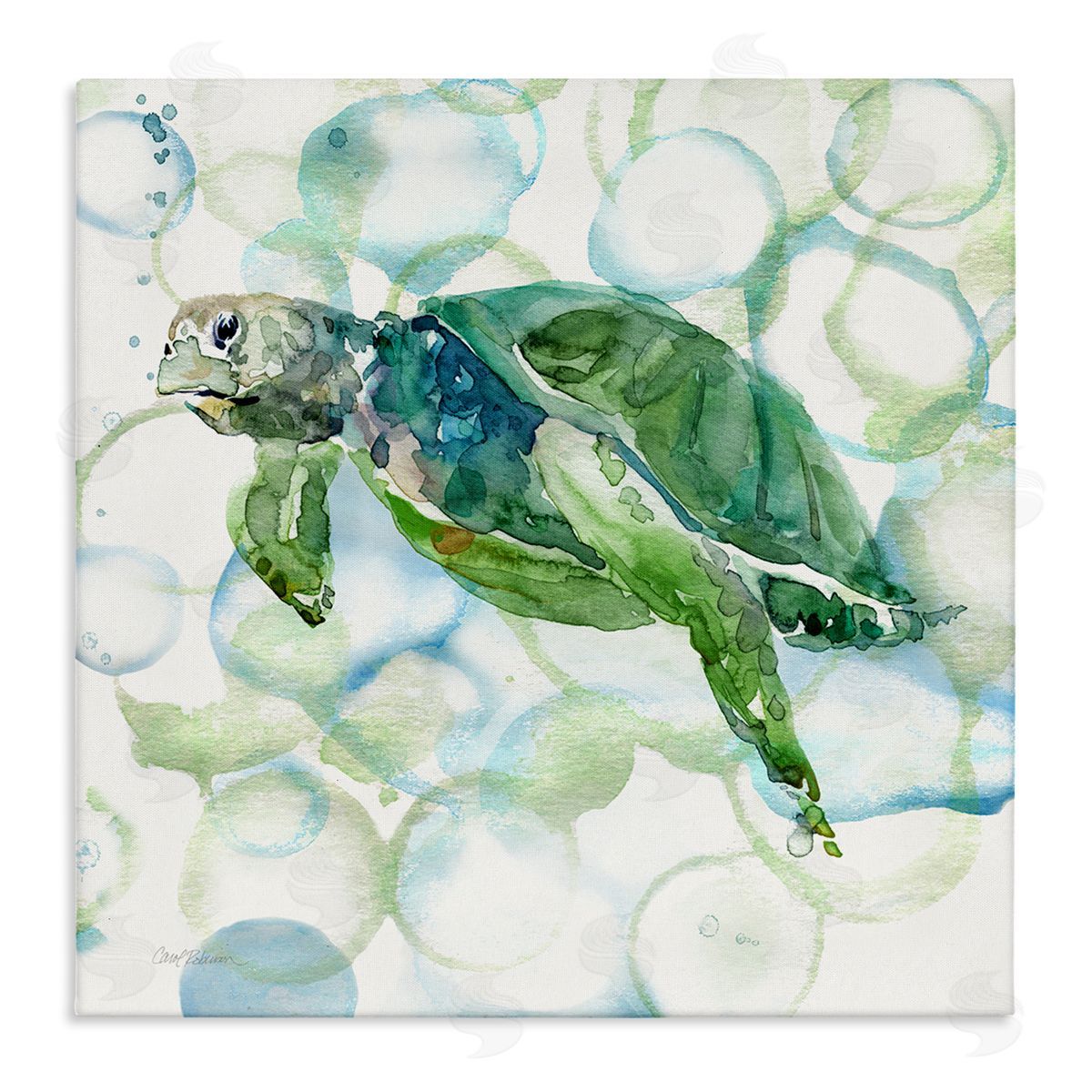 Carol Robinson Watercolor Sea Turtle Swimming Ocean Water Bubbles Stretched Canvas Wall Art Print