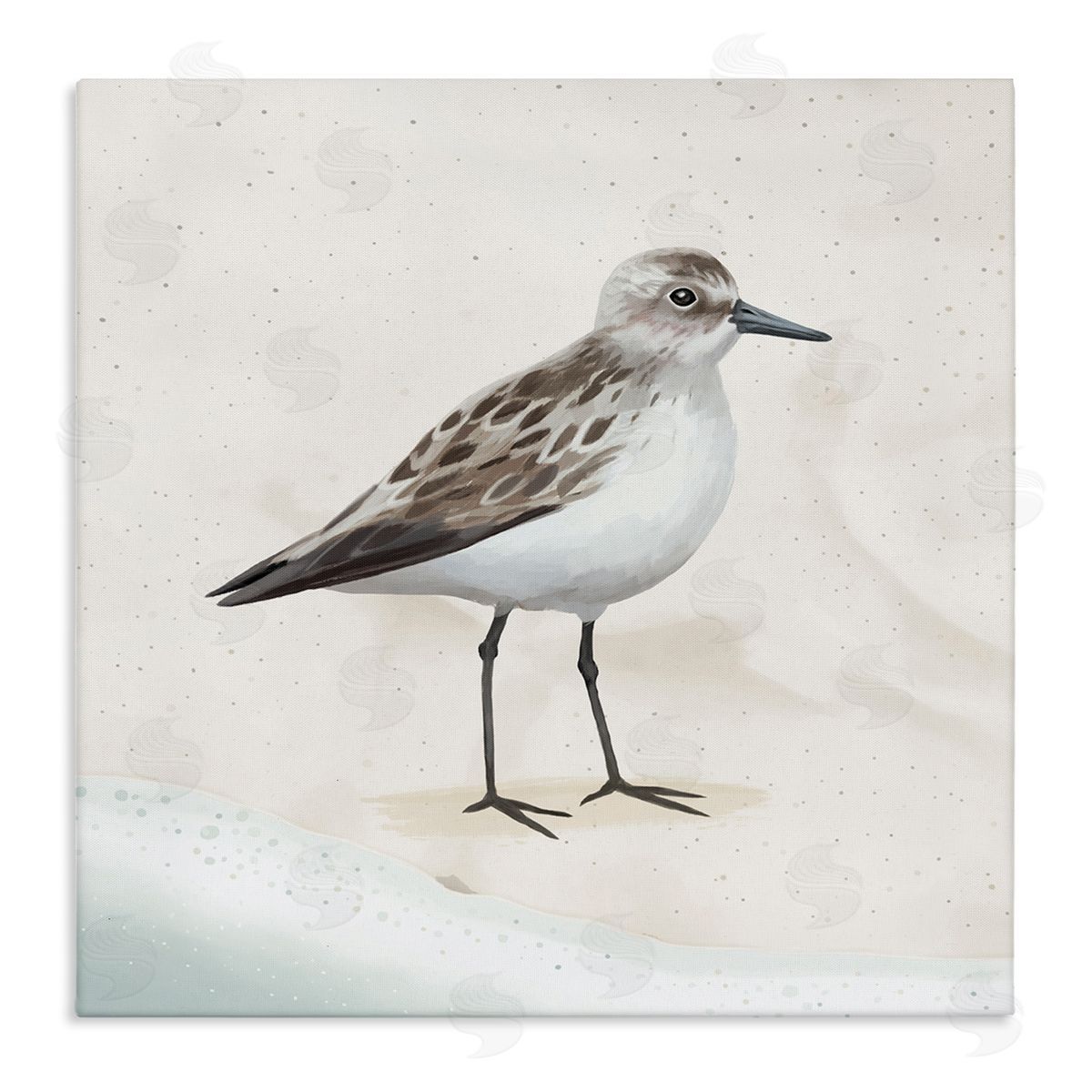 Lucca Sheppard Sandpiper Bird at Water's Edge Beach Shoreline  Stretched Canvas Wall Art Print