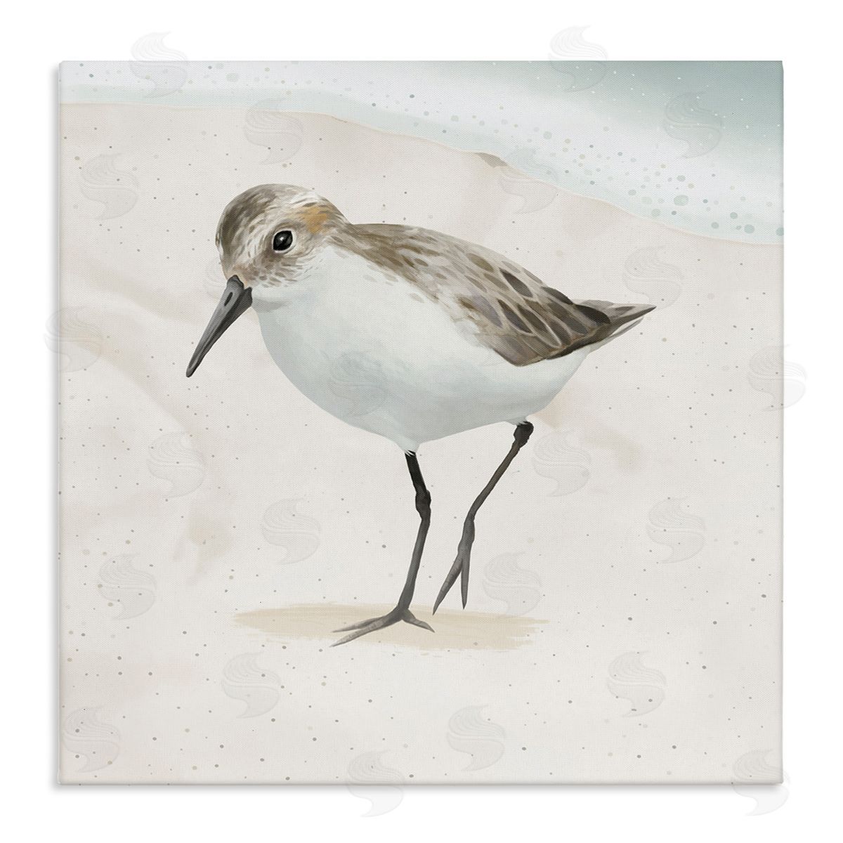 Lucca Sheppard Stepping Sandpiper Bird Ocean Shoreline Beach Scene Stretched Canvas Wall Art Print
