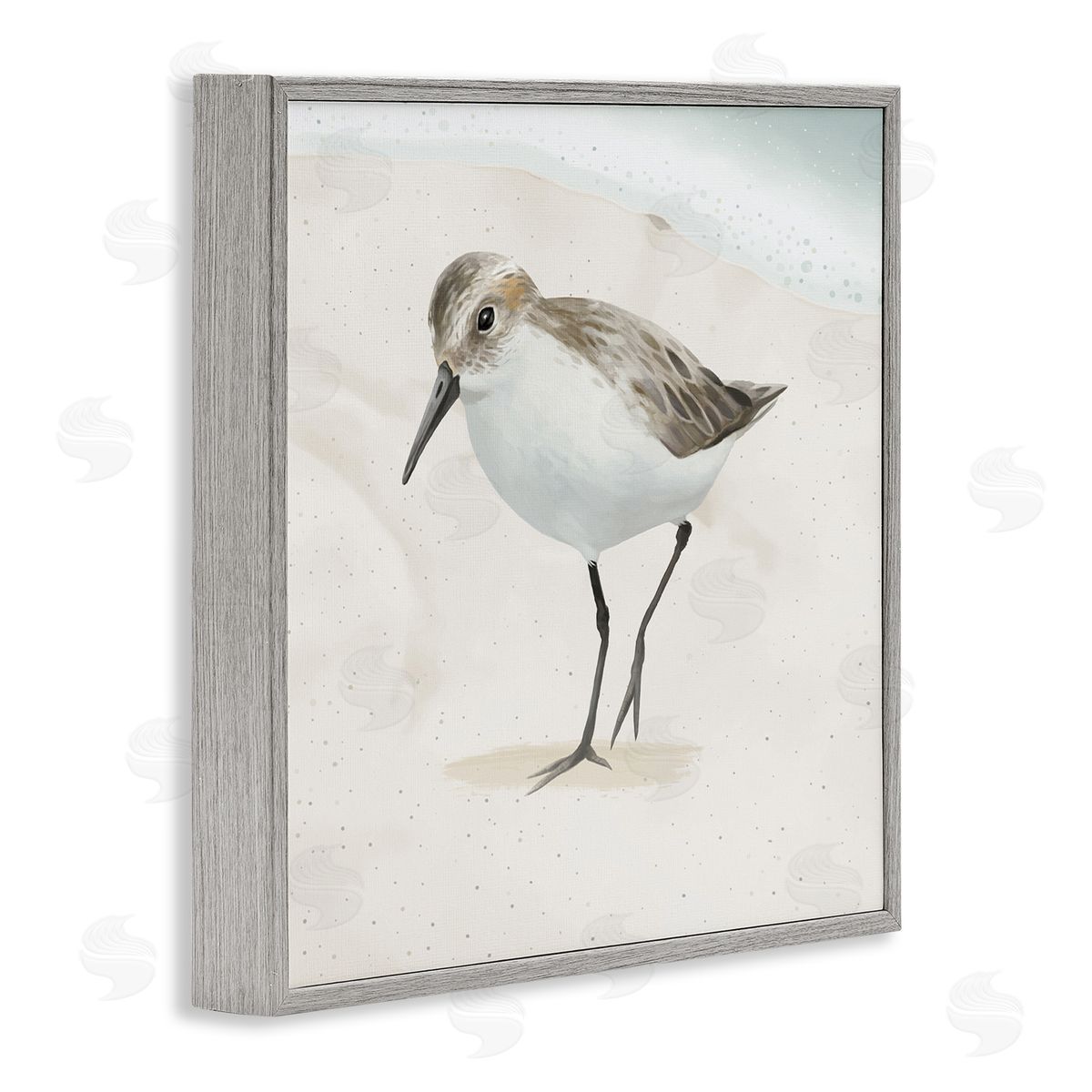 Lucca Sheppard Stepping Sandpiper Bird Ocean Shoreline Beach Scene Gray Framed Glicee Wall Art Print