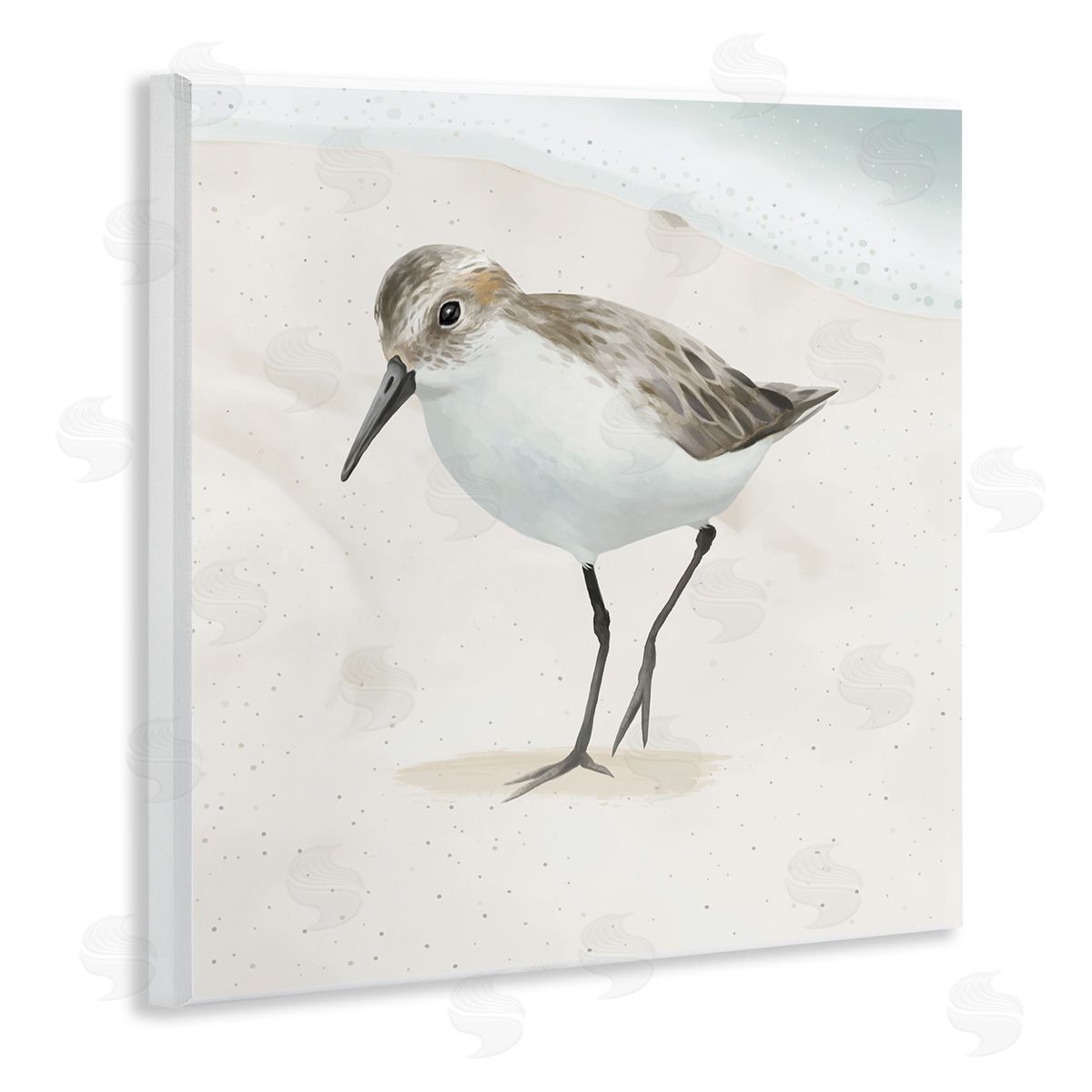 Lucca Sheppard Stepping Sandpiper Bird Ocean Shoreline Beach Scene Wooden Wall Plaque Art Print