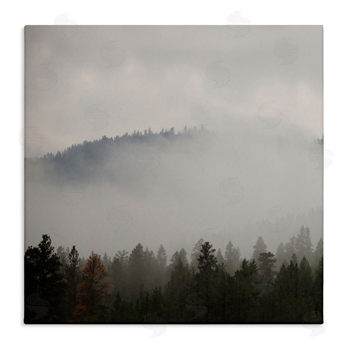 Carol Robinson Misty Mountain Weather Obscured Forest Tree Tops Stretched Canvas Wall Art Print