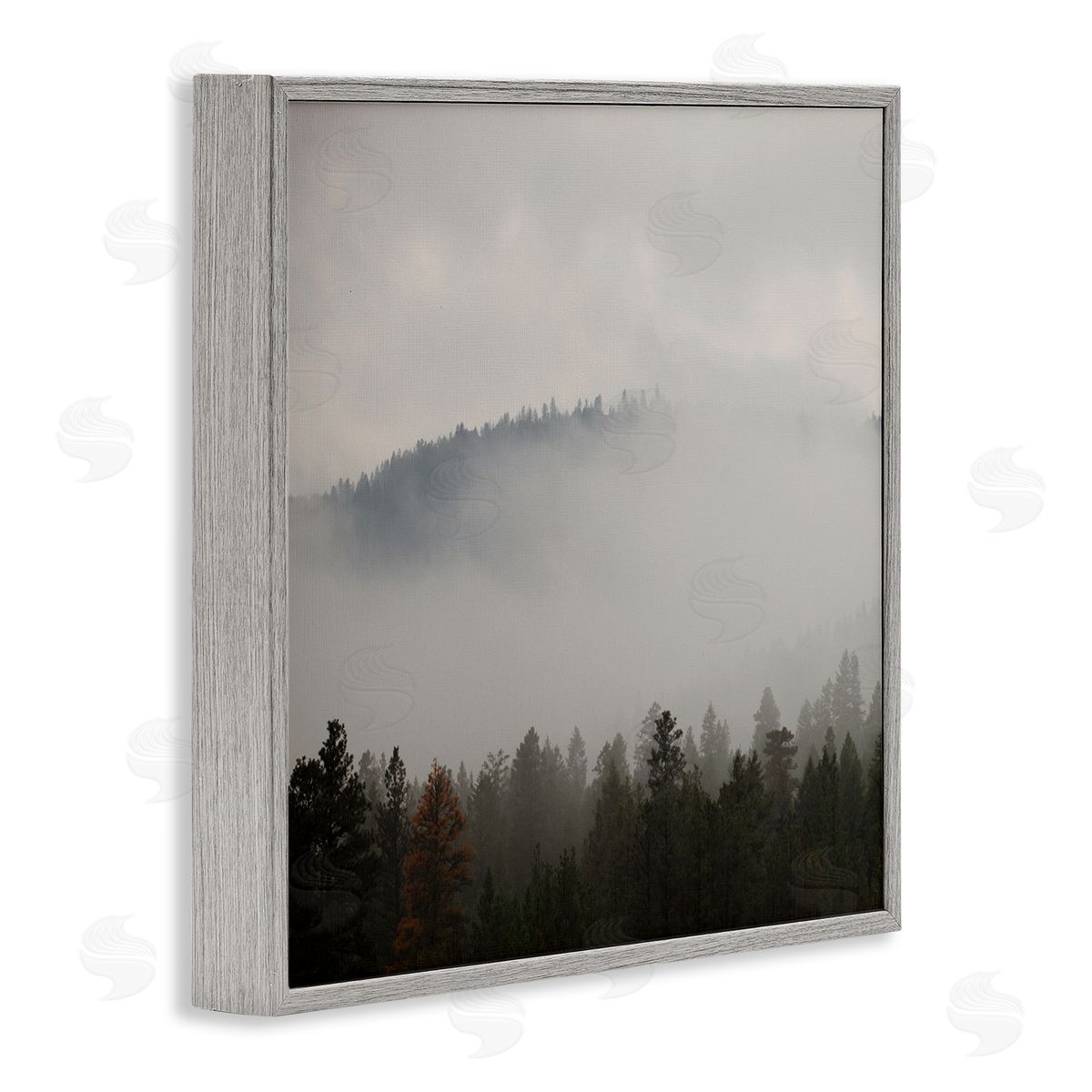 Carol Robinson Misty Mountain Weather Obscured Forest Tree Tops Gray Framed Glicee Wall Art Print