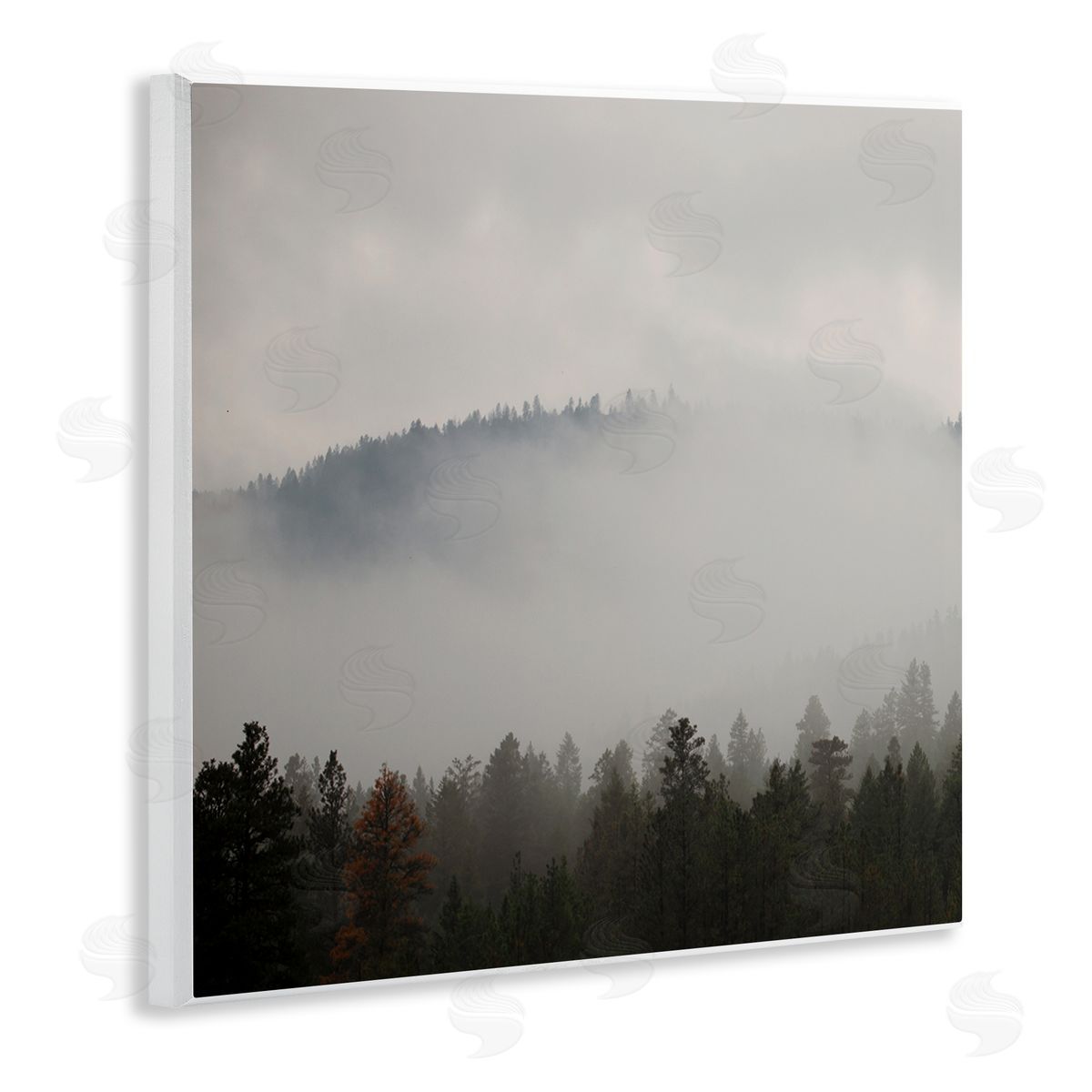 Carol Robinson Misty Mountain Weather Obscured Forest Tree Tops Wooden Wall Plaque Art Print