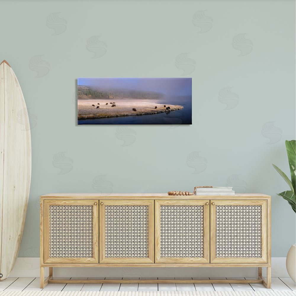 Jim Becia Bison Animals Grazing Rural River Nature Photography