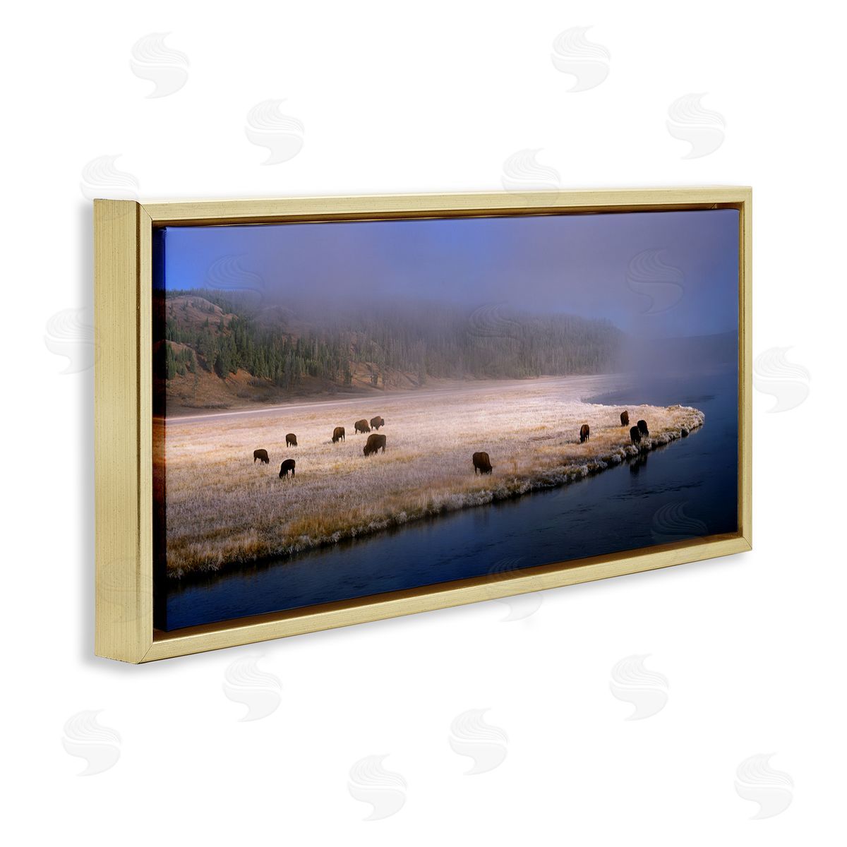 Jim Becia Bison Animals Grazing Rural River Nature Photography