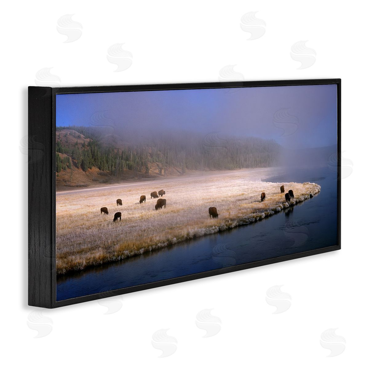 Jim Becia Bison Animals Grazing Rural River Nature Photography