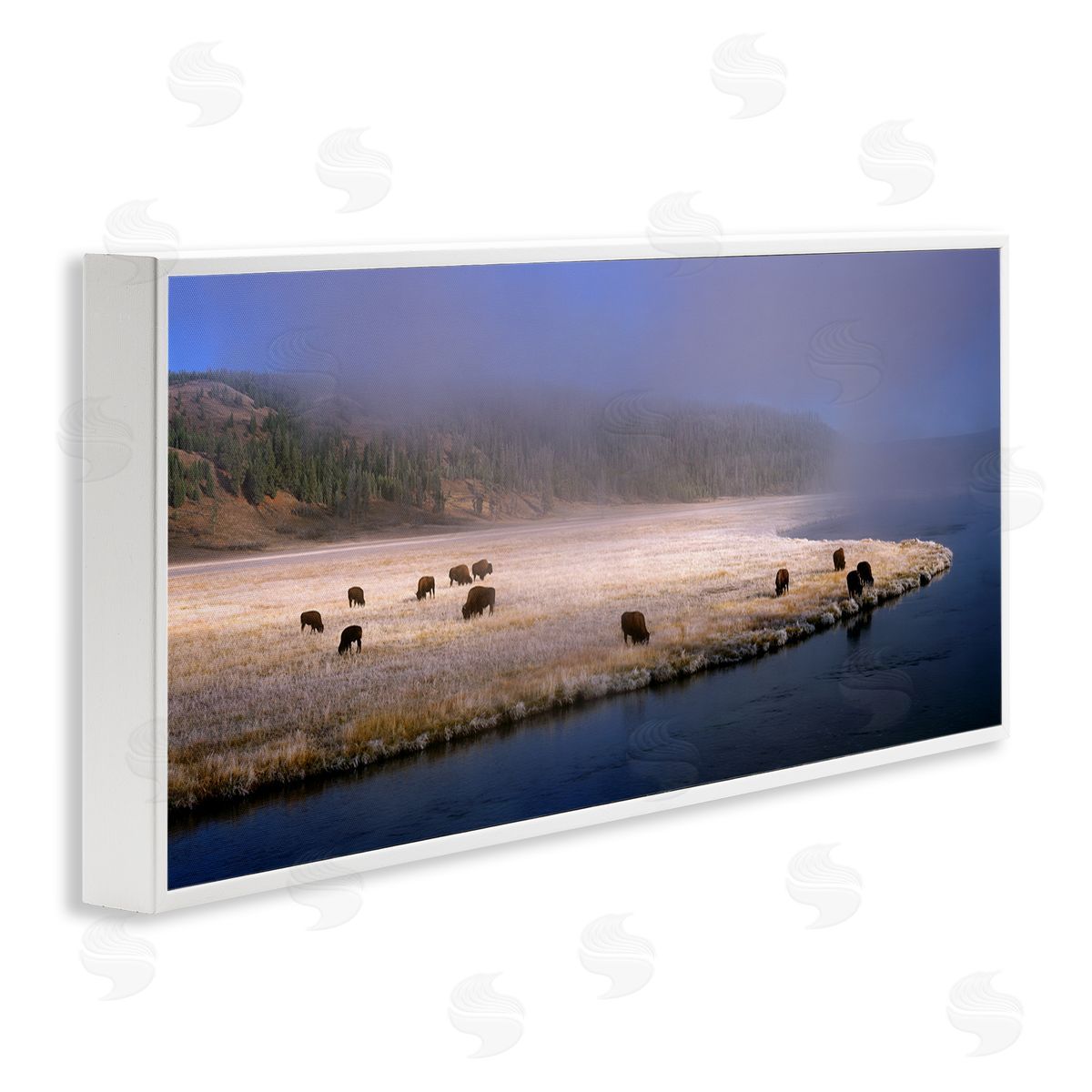Jim Becia Bison Animals Grazing Rural River Nature Photography