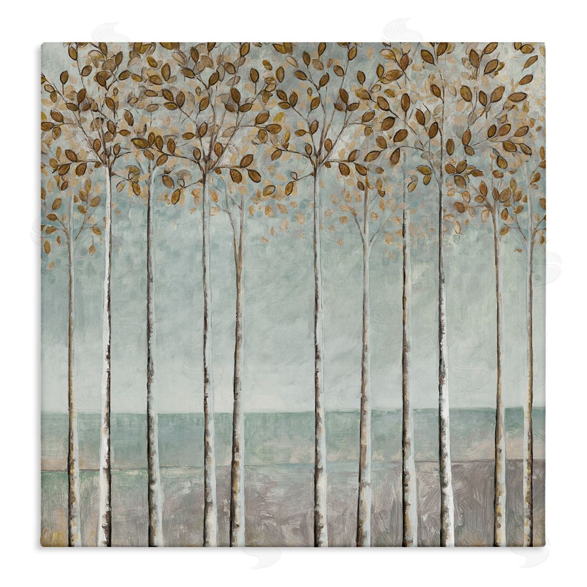 Cloverfield & Co. Tall Birch Tree Trunks Blossoming Fall Leaves Stretched Canvas Wall Art Print