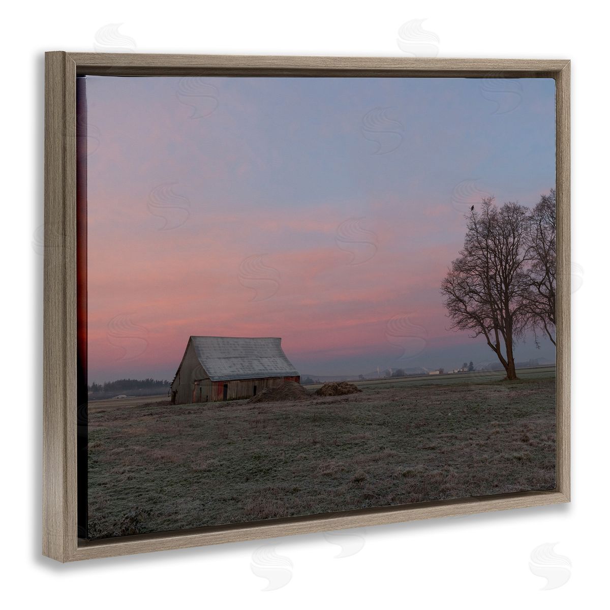 Nancy Crowell Lone Grassland Cabin Rural Trees Sunset Sky Brown Floating Frame Canvas Wall Art Print