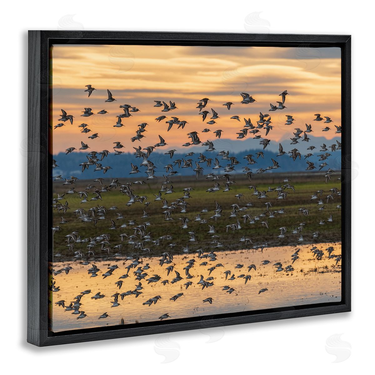Nancy Crowell Flock of Birds Flying Lake Reflection Orange Sunset Black Floating Frame Canvas Wall Art Print