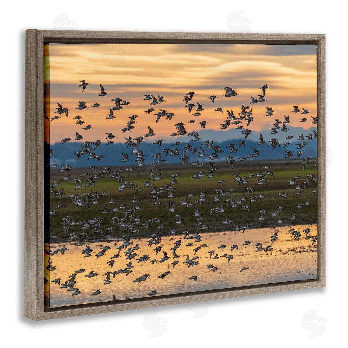 Nancy Crowell Flock of Birds Flying Lake Reflection Orange Sunset Brown Floating Frame Canvas Wall Art Print