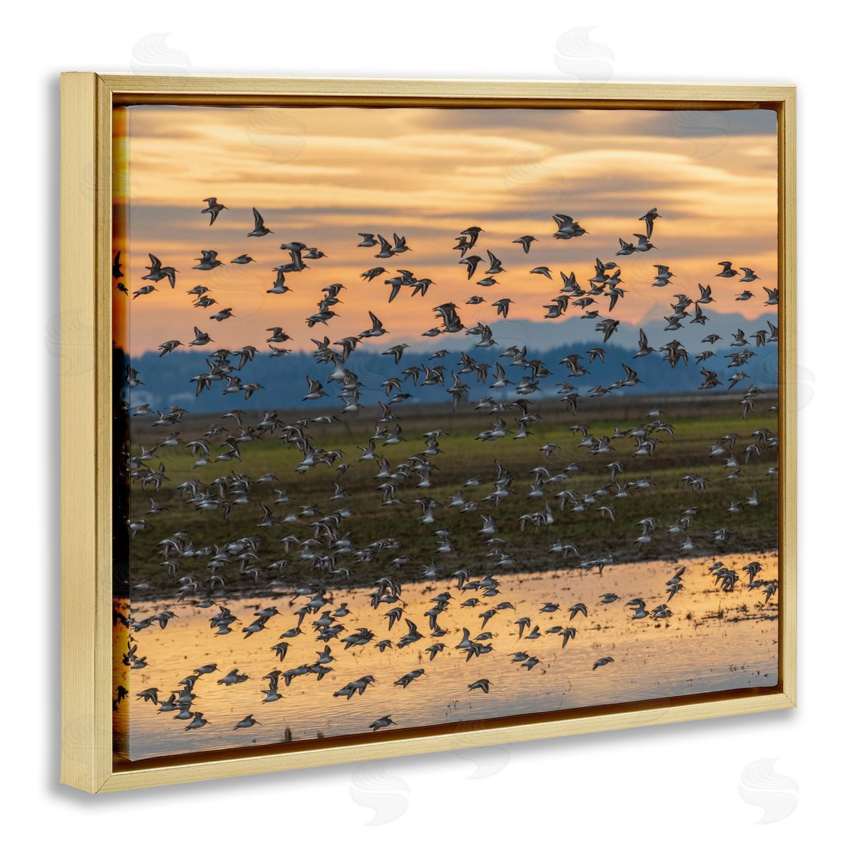 Nancy Crowell Flock of Birds Flying Lake Reflection Orange Sunset Gold Floating Frame Canvas Wall Art Print