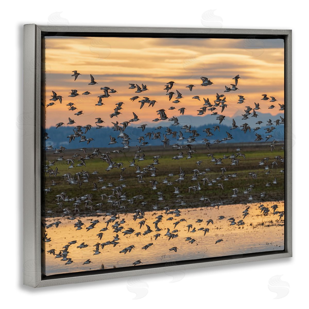 Nancy Crowell Flock of Birds Flying Lake Reflection Orange Sunset Gray Floating Frame Canvas Wall Art Print