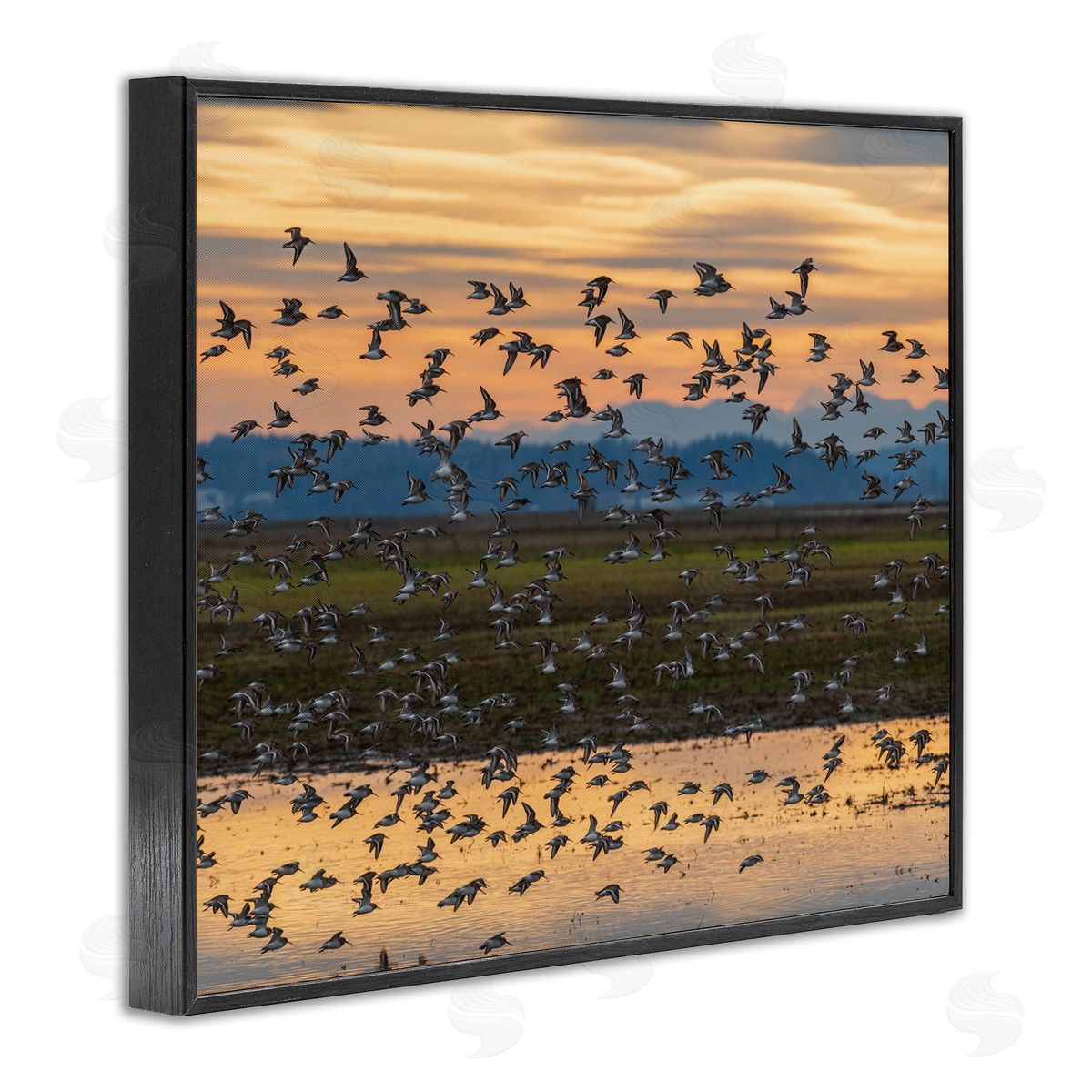 Nancy Crowell Flock of Birds Flying Lake Reflection Orange Sunset Black Framed Giclee Wall Art Print