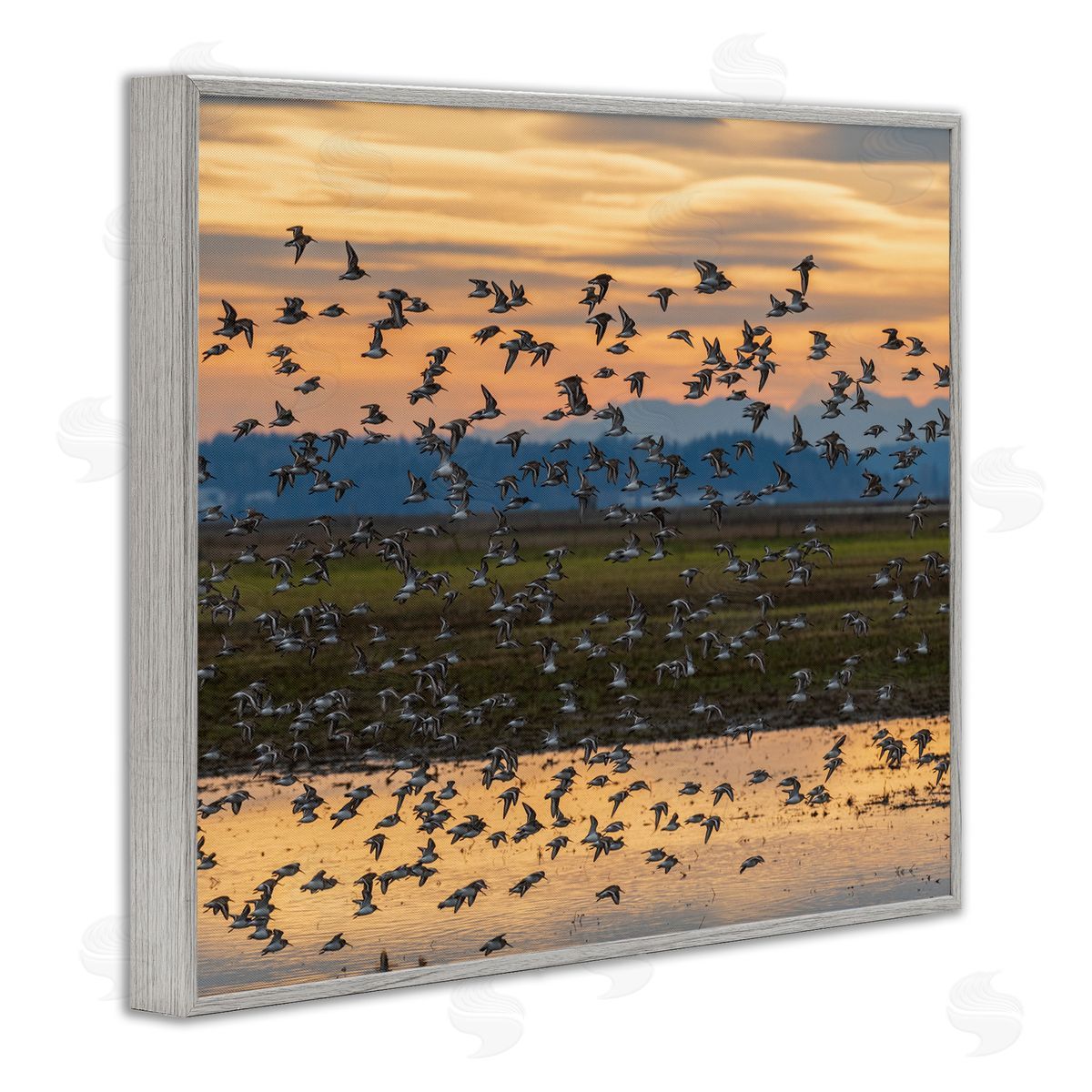 Nancy Crowell Flock of Birds Flying Lake Reflection Orange Sunset Gray Framed Giclee Wall Art Print