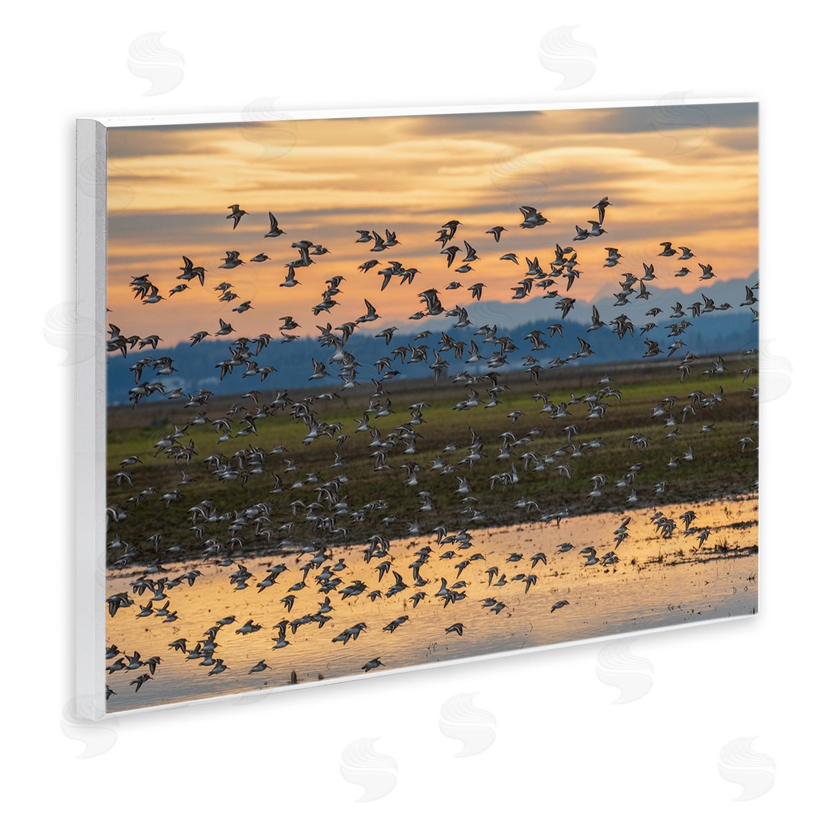 Nancy Crowell Flock of Birds Flying Lake Reflection Orange Sunset Wall Plaque Art Print
