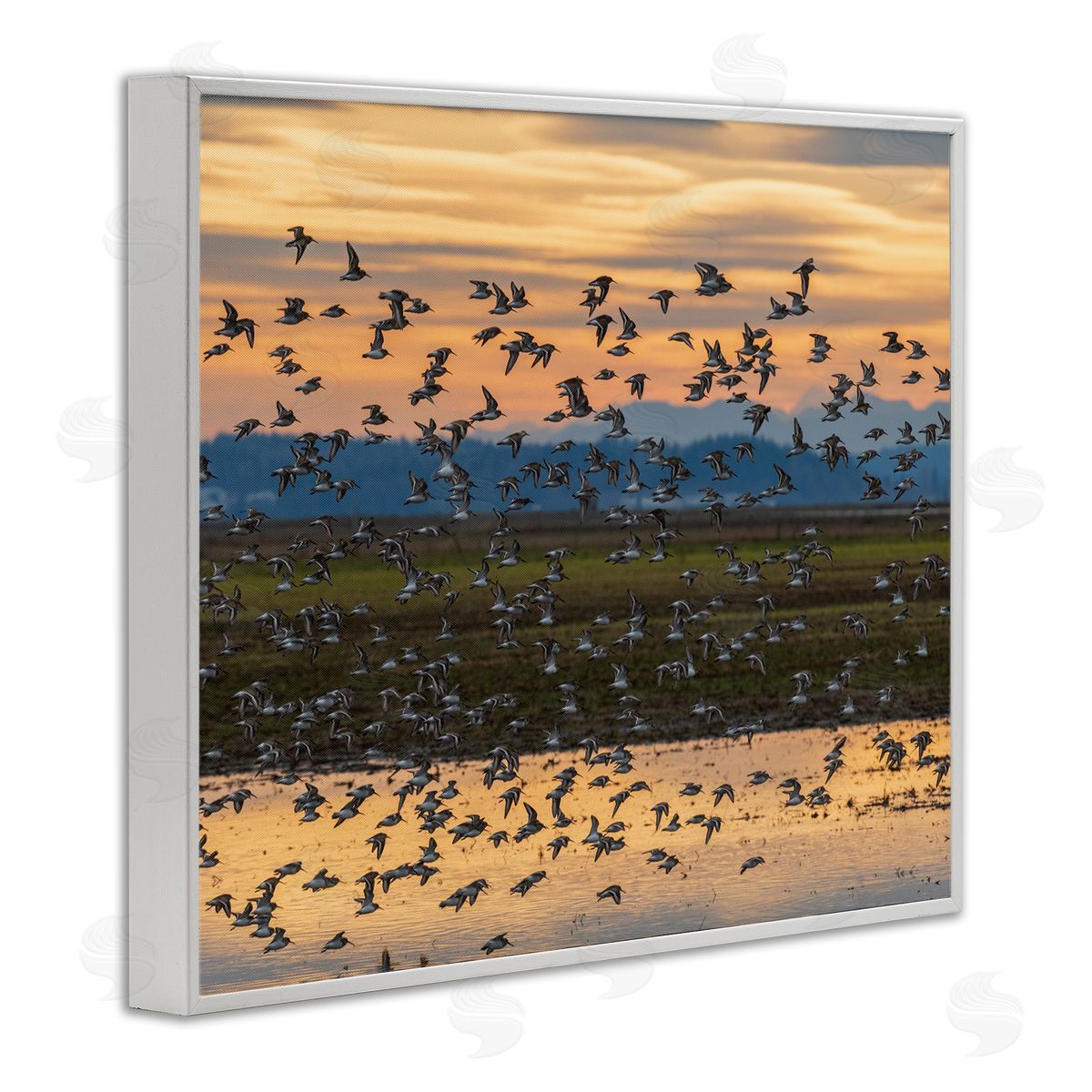Nancy Crowell Flock of Birds Flying Lake Reflection Orange Sunset White Framed Giclee Wall Art Print