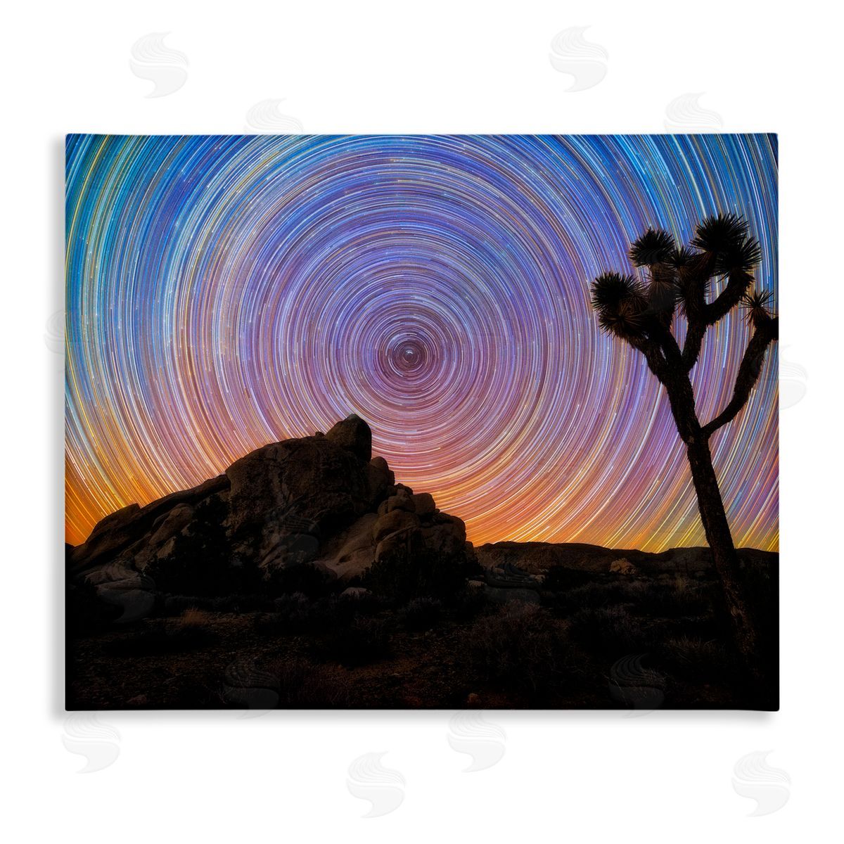 Lincoln Harrison Kaleidoscopic Swirl Pattern Sky Desert Tree Silhouette  Stretched Canvas Wall Art Print