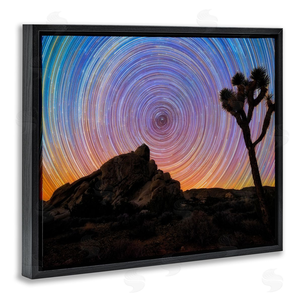 Lincoln Harrison Kaleidoscopic Swirl Pattern Sky Desert Tree Silhouette  Black Floating Frame Canvas Wall Art Print