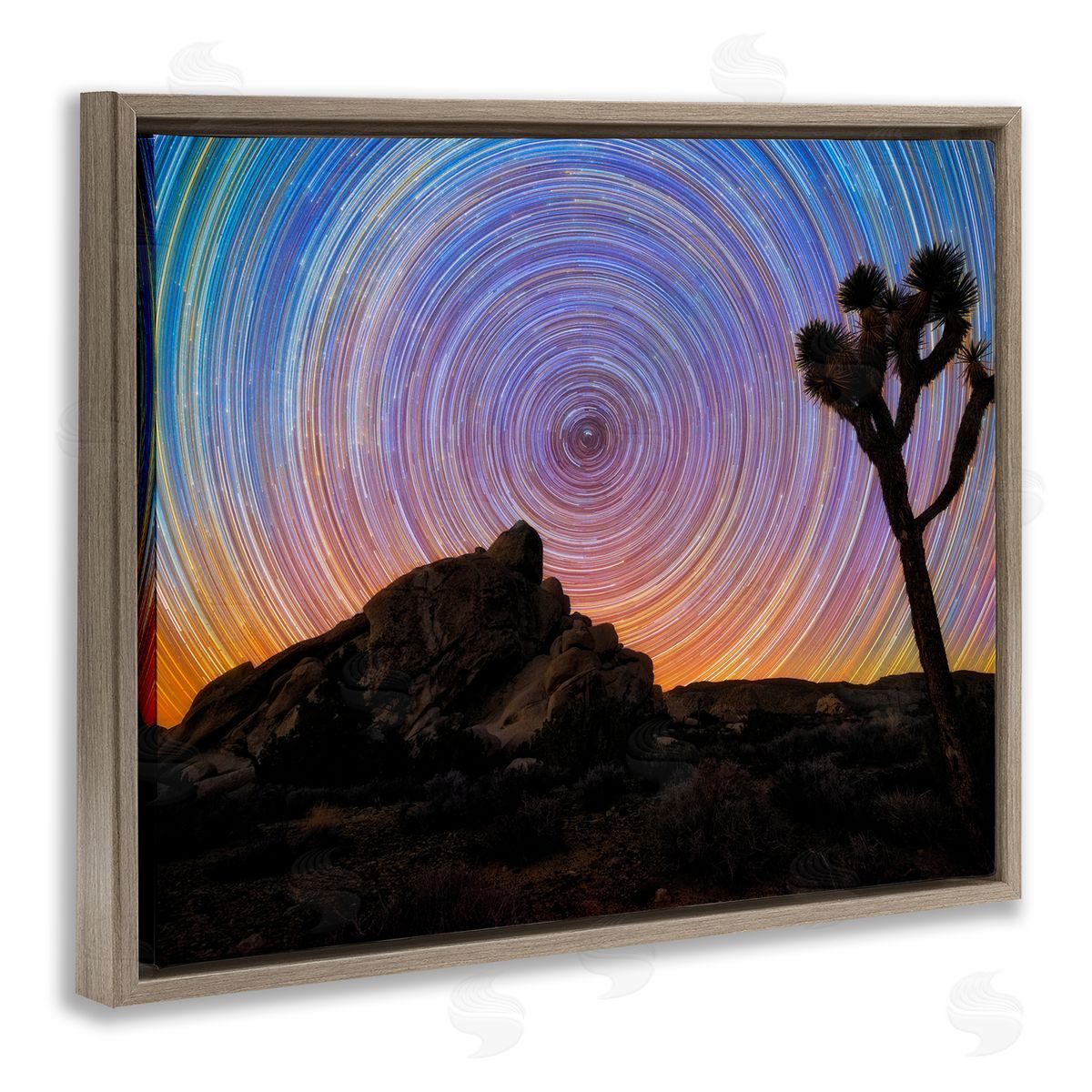 Lincoln Harrison Kaleidoscopic Swirl Pattern Sky Desert Tree Silhouette  Brown Floating Frame Canvas Wall Art Print