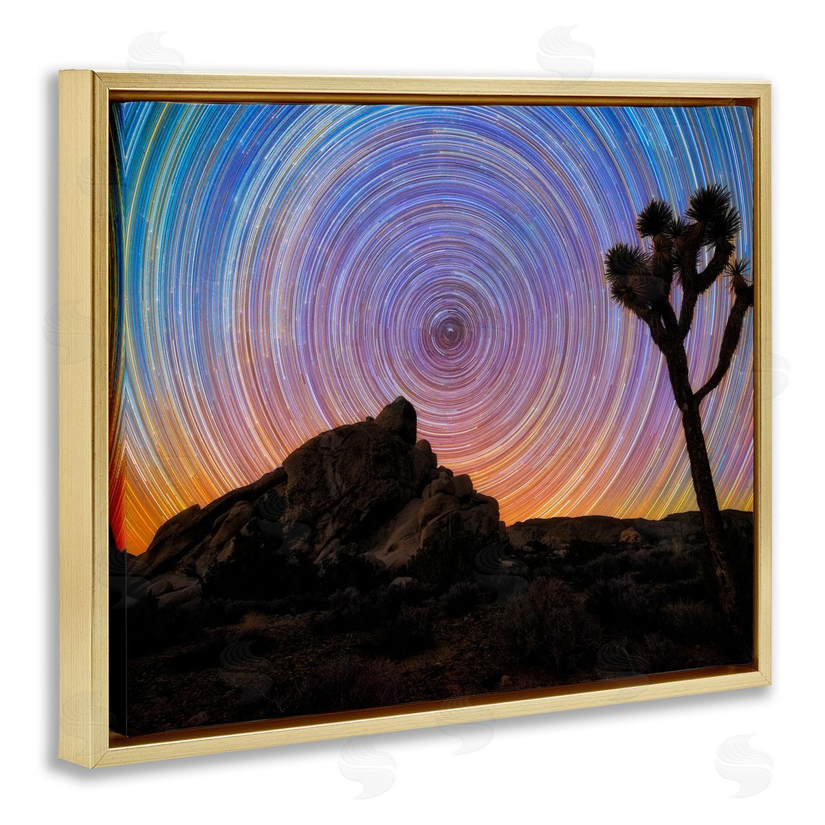 Lincoln Harrison Kaleidoscopic Swirl Pattern Sky Desert Tree Silhouette  Gold Floating Frame Canvas Wall Art Print