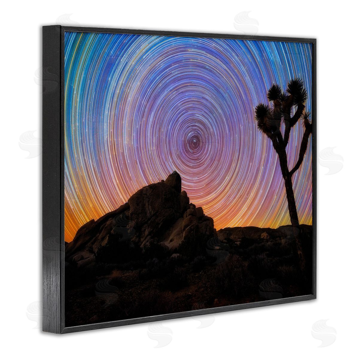 Lincoln Harrison Kaleidoscopic Swirl Pattern Sky Desert Tree Silhouette  Black Framed Giclee Wall Art Print