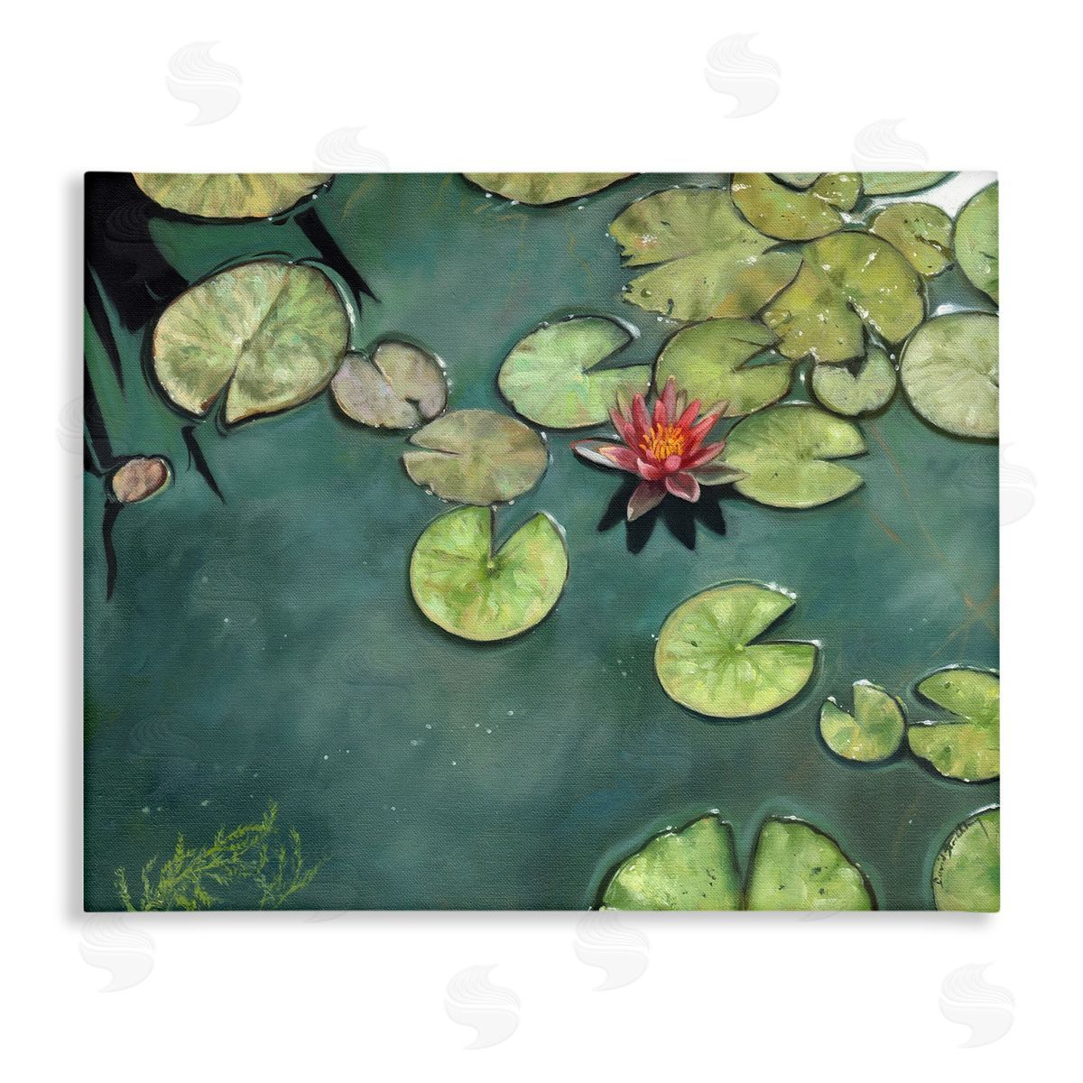 David Stribbling Pond Lily Lotus Blossom Floating Peaceful Botanicals Stretched Canvas Wall Art Print