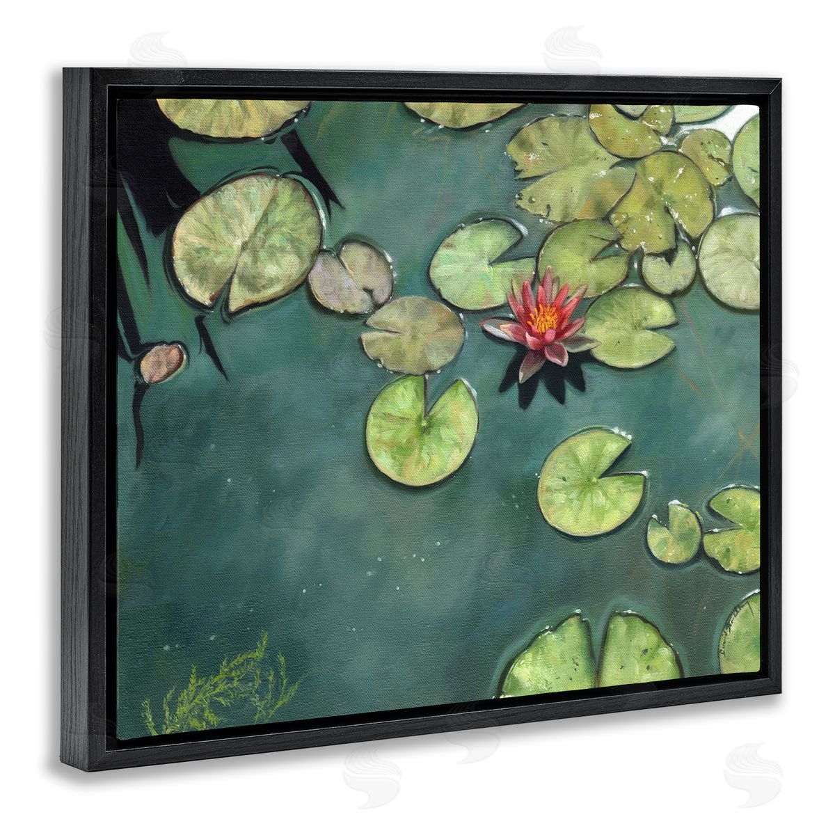David Stribbling Pond Lily Lotus Blossom Floating Peaceful Botanicals Black Floating Frame Canvas Wall Art Print