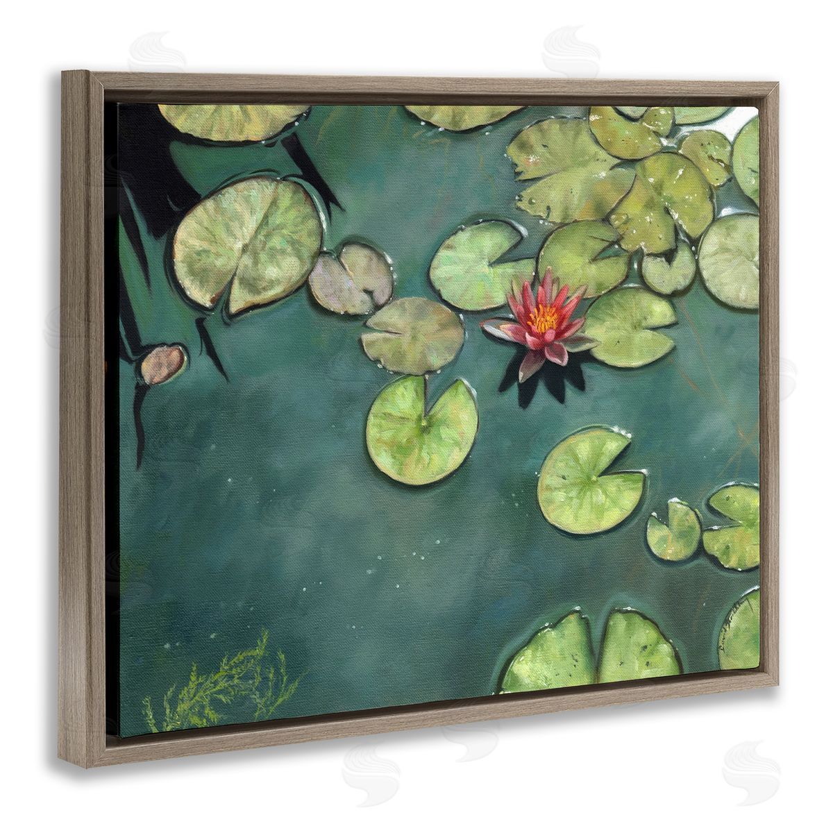 David Stribbling Pond Lily Lotus Blossom Floating Peaceful Botanicals Brown Floating Frame Canvas Wall Art Print