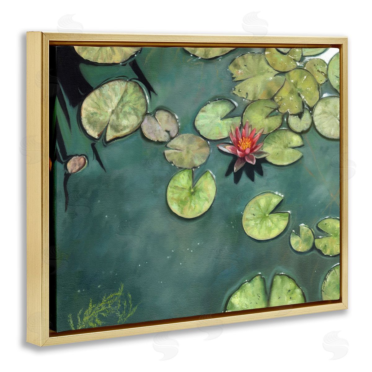 David Stribbling Pond Lily Lotus Blossom Floating Peaceful Botanicals Gold Floating Frame Canvas Wall Art Print