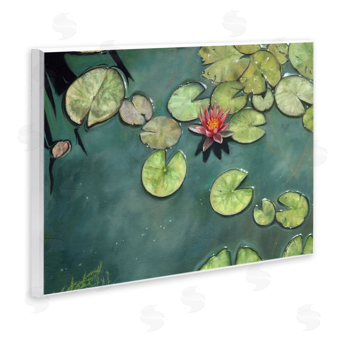 David Stribbling Pond Lily Lotus Blossom Floating Peaceful Botanicals Wall Plaque Art Print