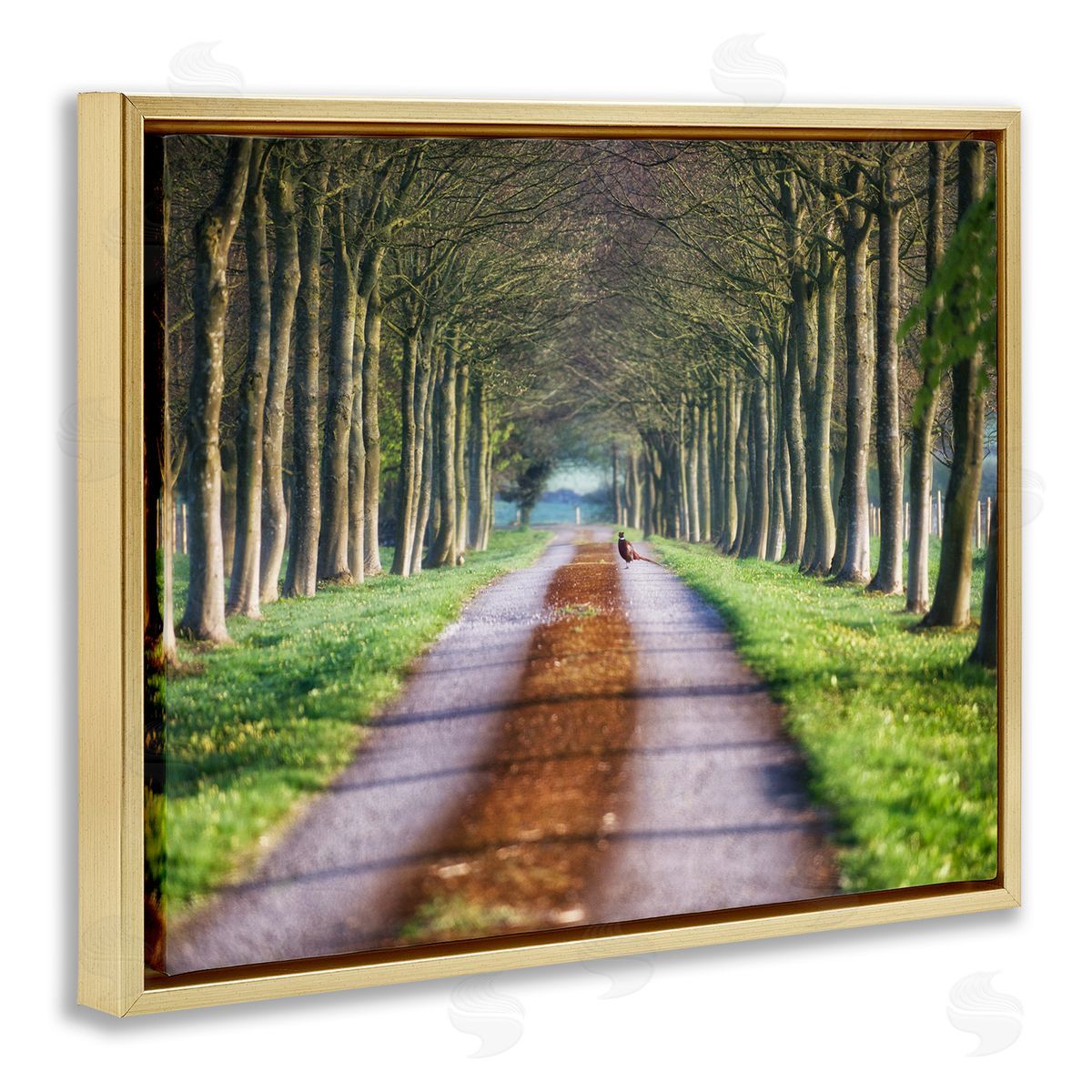 James Dobson Aligned Trees Along Orchard Path Nature Tunnel Gold Floating Frame Canvas Wall Art Print